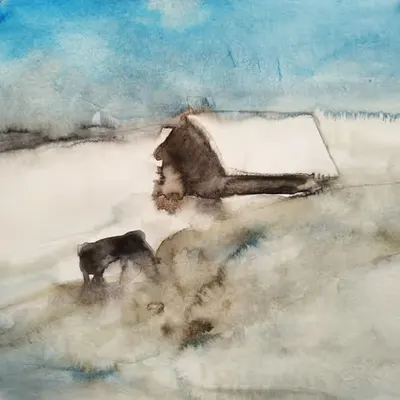 winter, horse