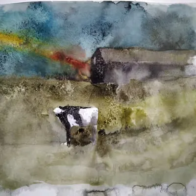 Forgotten fields