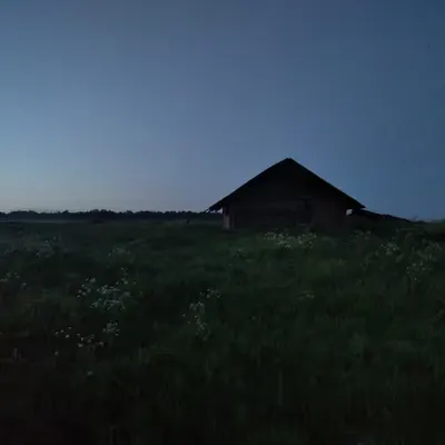 Alone in the field - not a warrior
