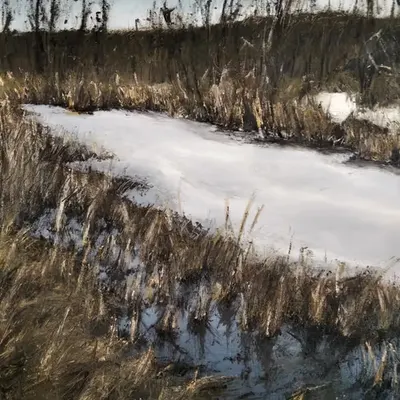Pond in April