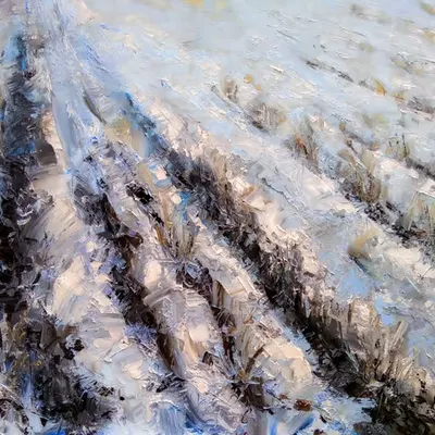 Plowed land under snow