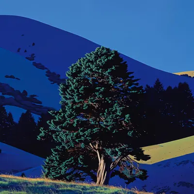 The Tree