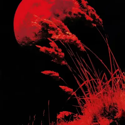 Blood Moon
