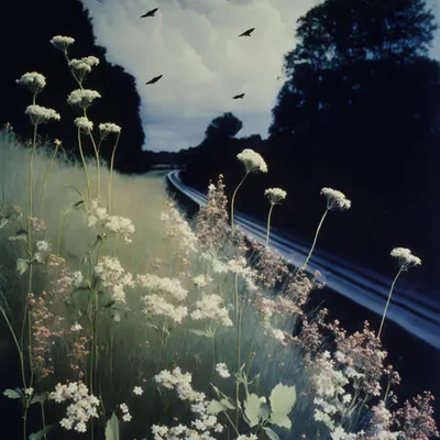 Life with flowers