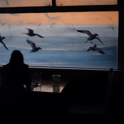Before Sunset