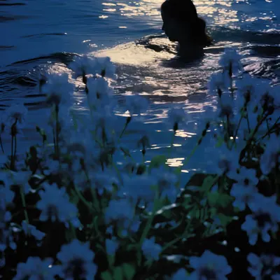 Moonlighting