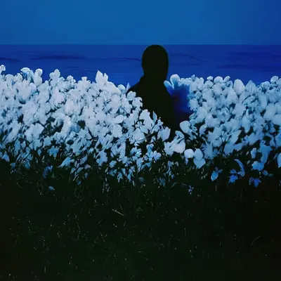 The Spy