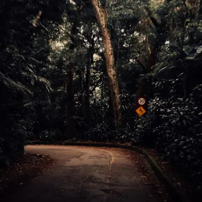 What lies ahead?