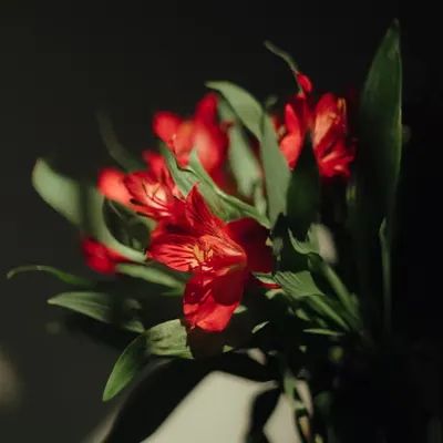 Something Simple