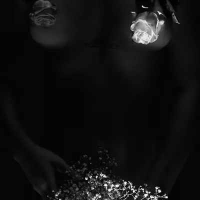 Shadowplay #6 - Blooming