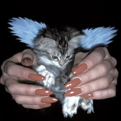 Angel