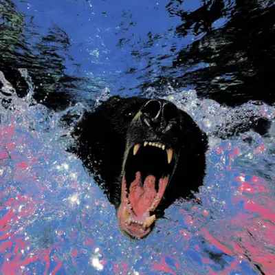 Bears, #13