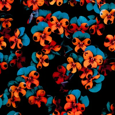 FlowerField • 2