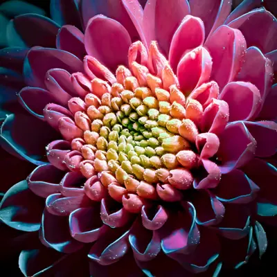 06/04 • 2022