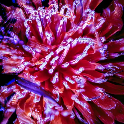 11/04 • 2022