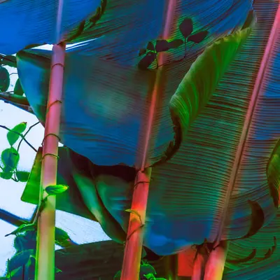 Greenhouse • 5