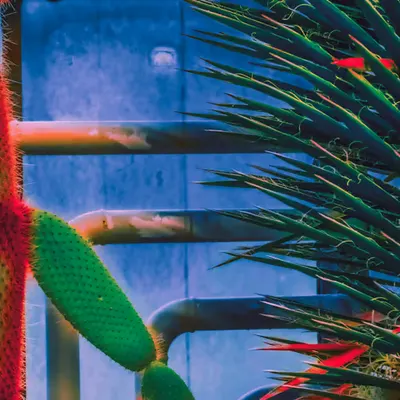 Greenhouse • 7