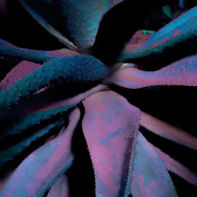 Greenhouse • 9