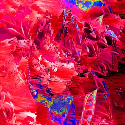 no pfp