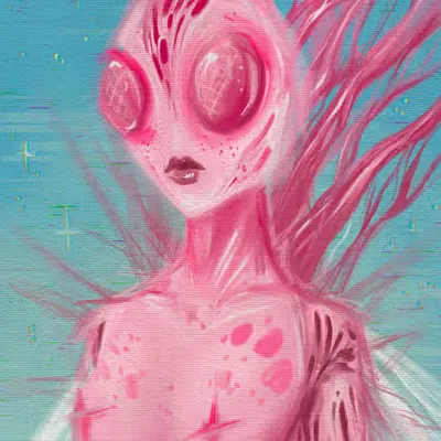 Fly