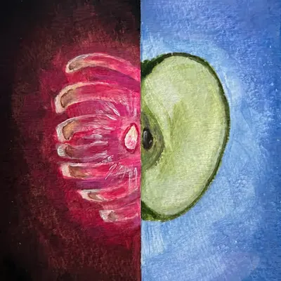 The seed of life