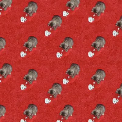 Gift Wrapping Paper