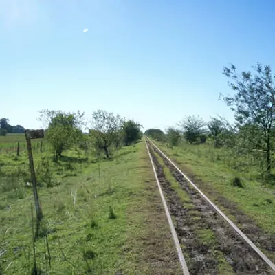 Tracks