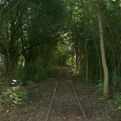 Tracks & Tunnel