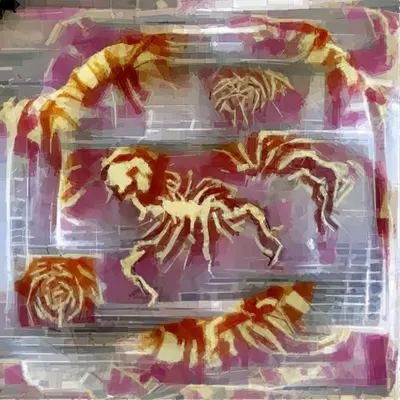 Scorpio ♏