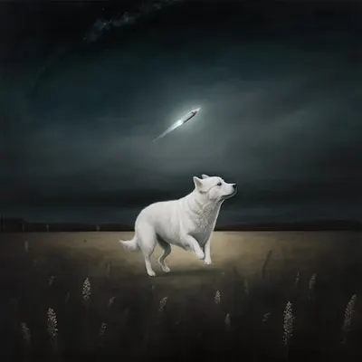 Fetch