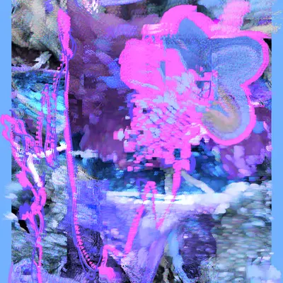 ReFlection   DeTection #2