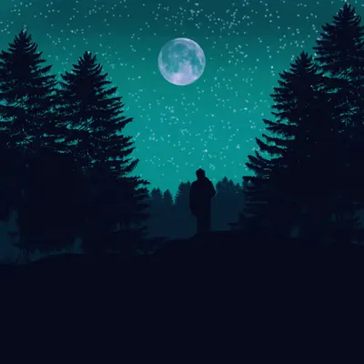 Tranquil #3