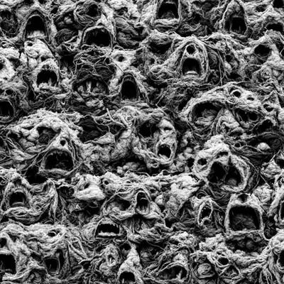 WOOL #1