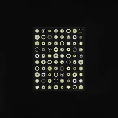 Moons