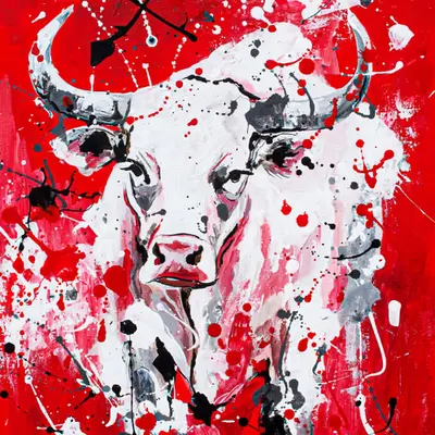 White Bull