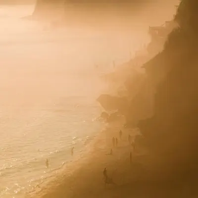 Tropical Mad Max