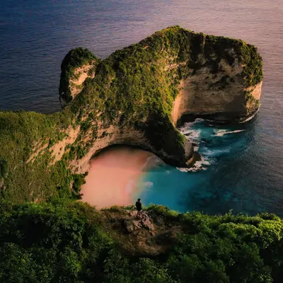 The Dinosaur Island #1/10
