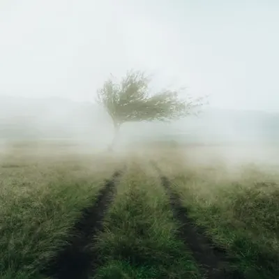 Misty Road #1/4