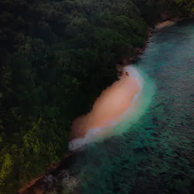 Hidden Paradise #1/12