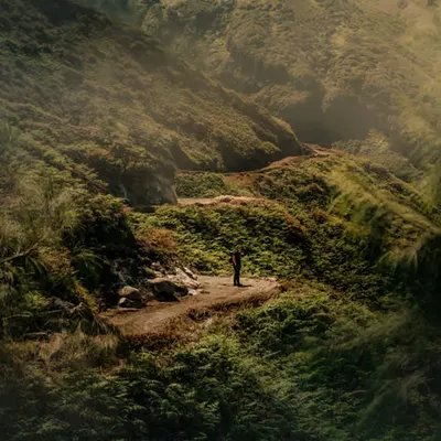 Wanderer #1/22