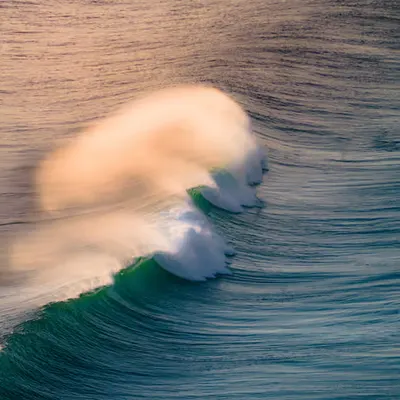 The Jaws #1/201
