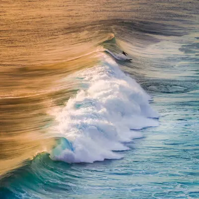 Ballet of The South Waves