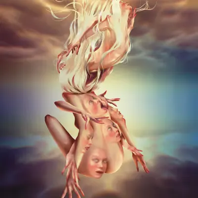 The Phenomenon of Human
