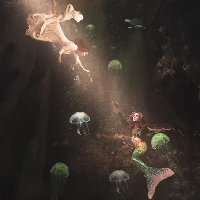 The Mermaid