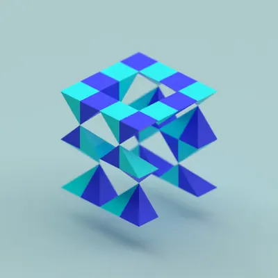 FFORM 243