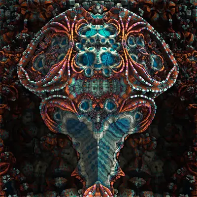 The Coral Seer