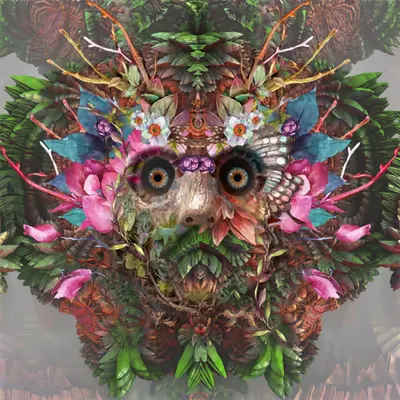 Floral Awakening 