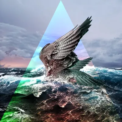 High seas - SFlights I