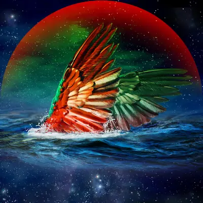 At nights - SFlights IV