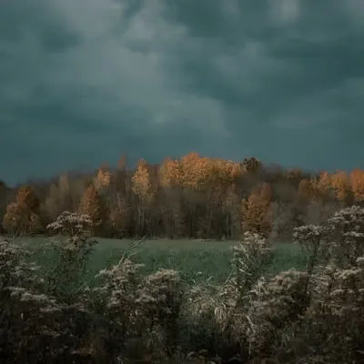 October 23rd